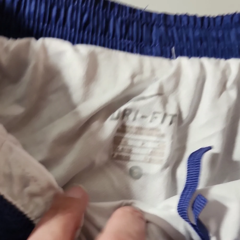 Nike Dri-FIT Blue and White Running Shorts